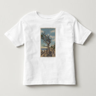 Monterey, CA - alter Hexe-Baum auf 17 Meile Kleinkind T-shirt