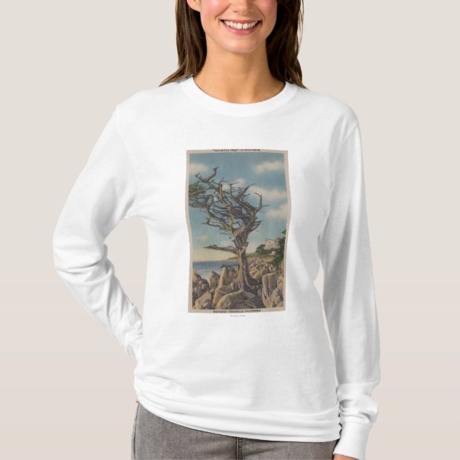 Monterey, CA - alter Hexe-Baum auf 17 Meile T-Shirt (Vorderseite)