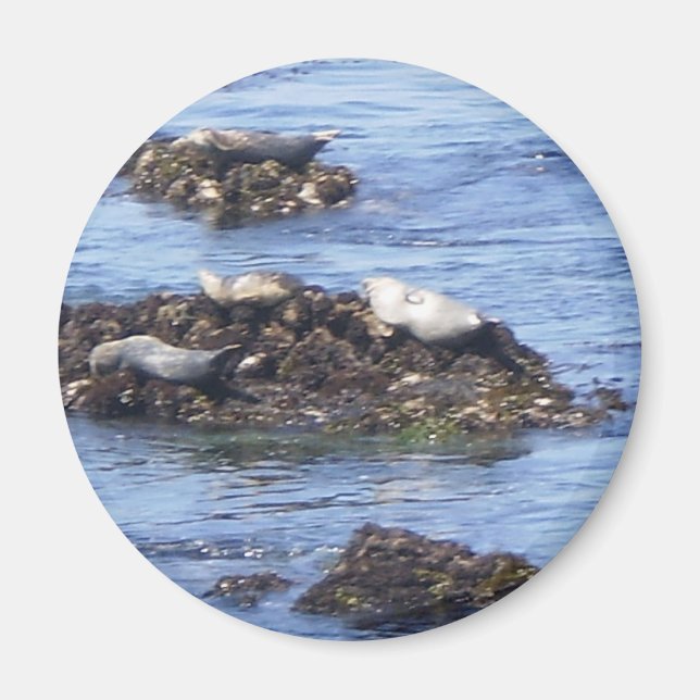 Monterey, CA Magnet (Vorne)