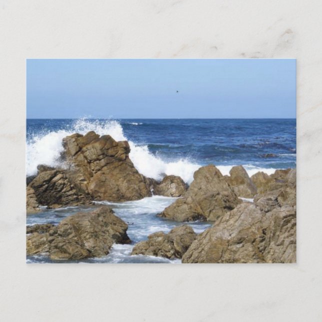 Monterey, CA Postkarte (Vorderseite)