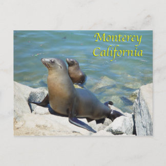 Monterey California Postcard Postkarte
