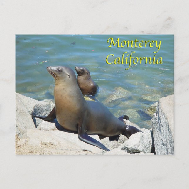 Monterey California Postcard Postkarte (Vorderseite)