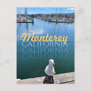 Monterey California Postcard Seagull and Sailboote Postkarte