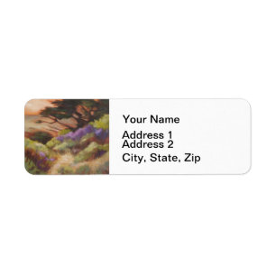 Monterey Cypress California Landschaft