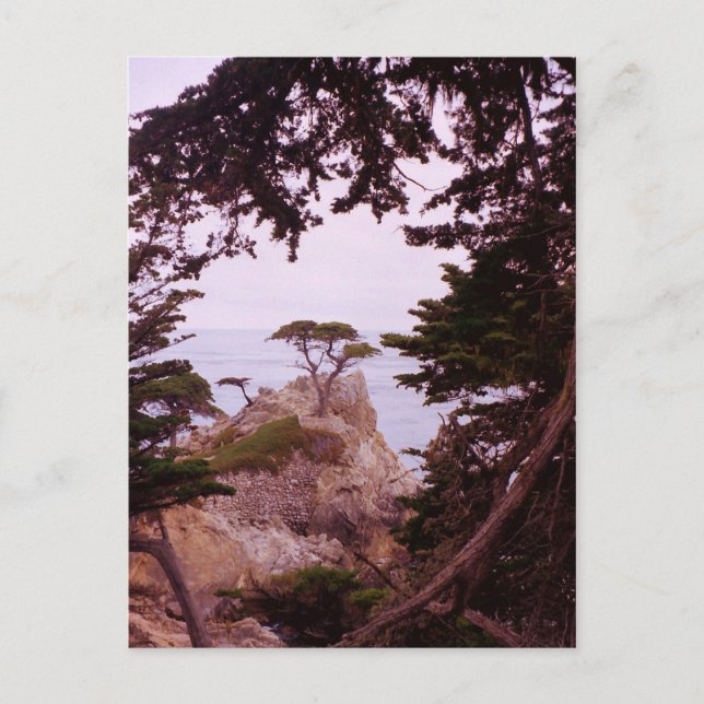 Monterey Postkarte (Vorderseite)