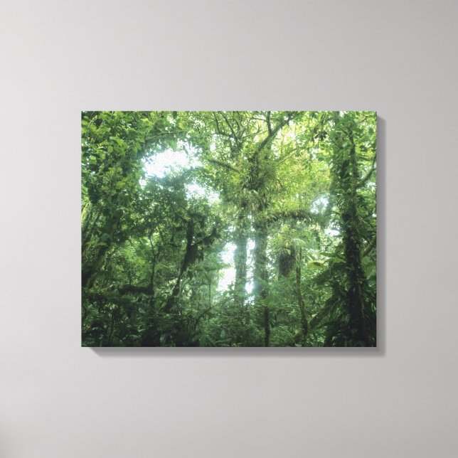 Monteverde Cloud Forest, Costa Rica. Leinwanddruck (Vorderseite)