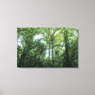 Monteverde-Nebelwald, Costa Rica. Leinwanddruck
