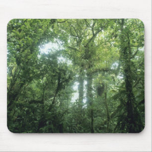Monteverde-Nebelwald, Costa Rica. Mousepad