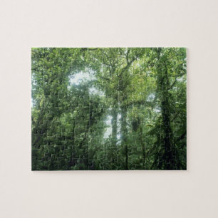Monteverde-Nebelwald, Costa Rica. Puzzle