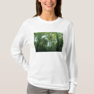 Monteverde-Nebelwald, Costa Rica. T-Shirt