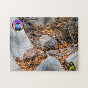 Montezuma Quail Jigsaw Puzzle