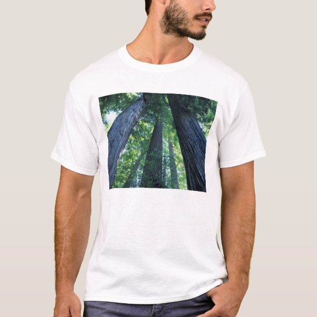 Montgomery Woods Staat Reserve, Kalifornien. T-Shirt (Vorderseite)