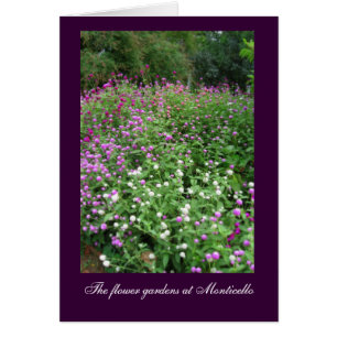 Monticello Blumen-Gärten