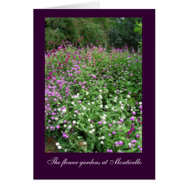 Monticello Flower Gardens (Vorne)