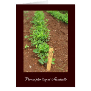 Monticellos Gemüsegärten