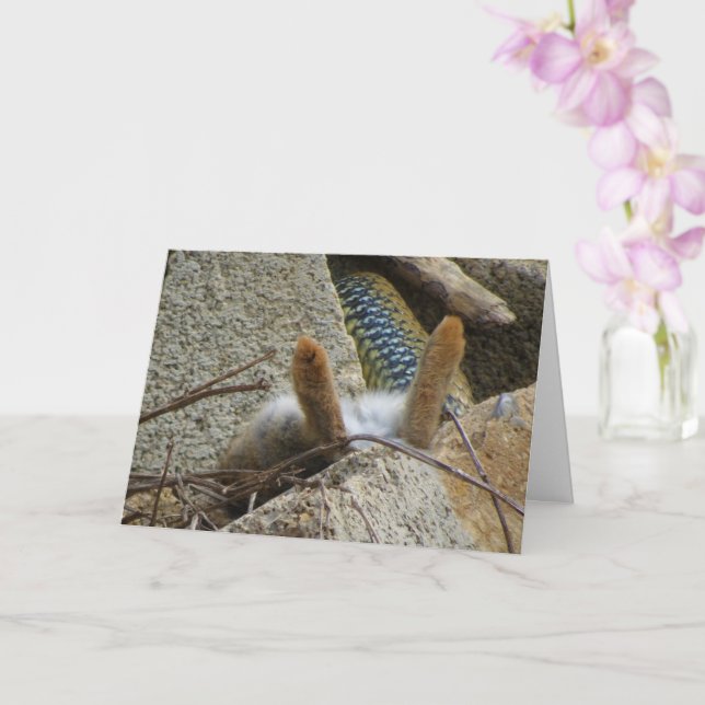 Montpellier-Schlange und Kaninchenkarte Karte (Orchidee)