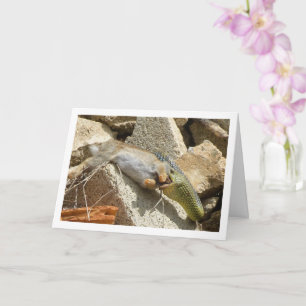 Montpellier Schlangenfest auf Kaninchenkarte Karte