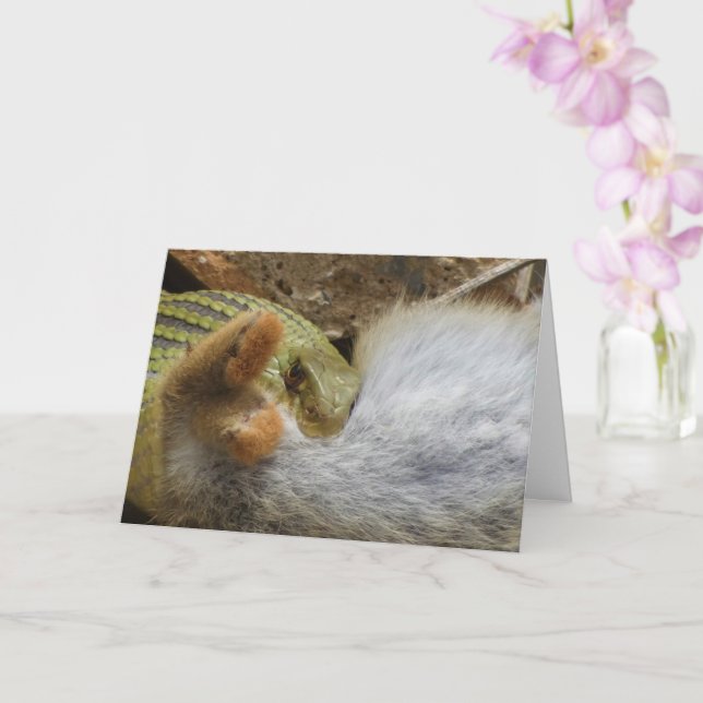 Montpellier Schlangenfest auf Kaninchenkarte Karte (Orchidee)