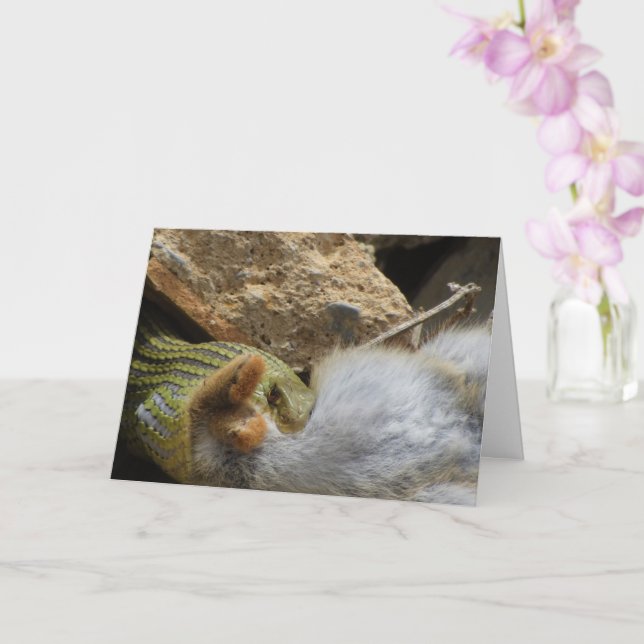 Montpellier Schlangenfest auf Kaninchenkarte Karte (Orchidee)