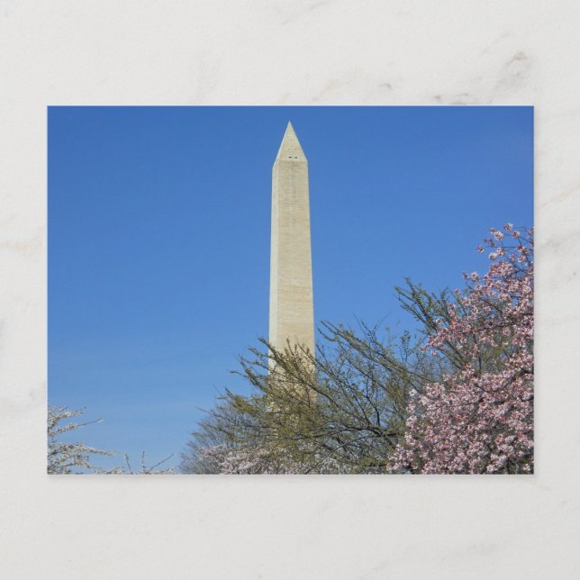 Monument Cherry Blossom Festival Postkarte (Vorderseite)