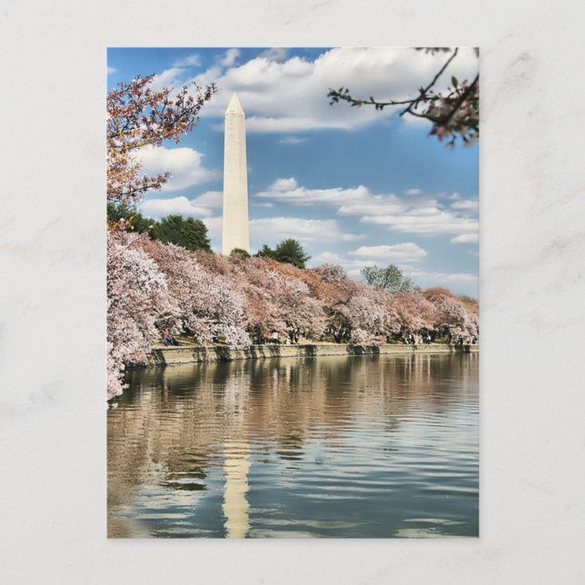 Monuments | Washington Memorial Postkarte (Vorderseite)