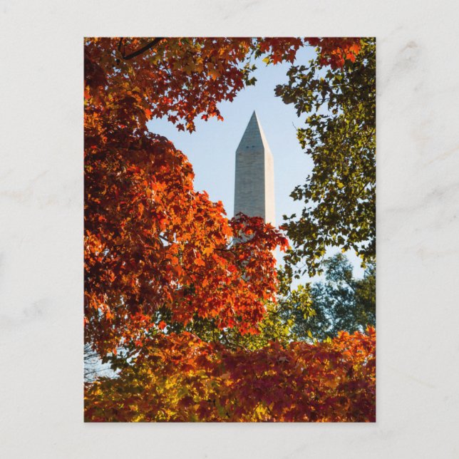 Monuments | Washington Monument in Autumn Postkarte (Vorderseite)