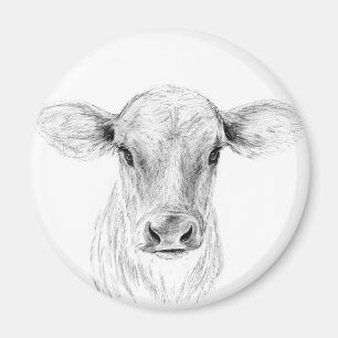 Moo A Young Jersey Cow Magnet
