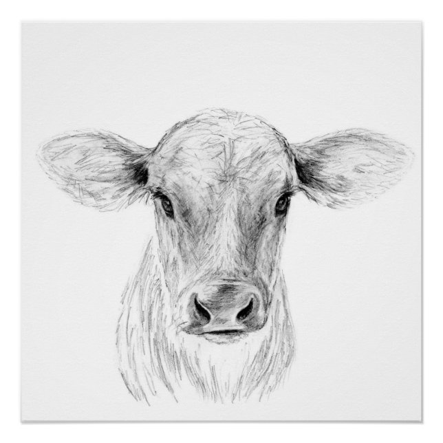 Moo A Young Jersey Cow Poster (Vorderseite)