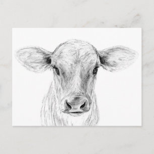 Moo A Young Jersey Cow Postkarte