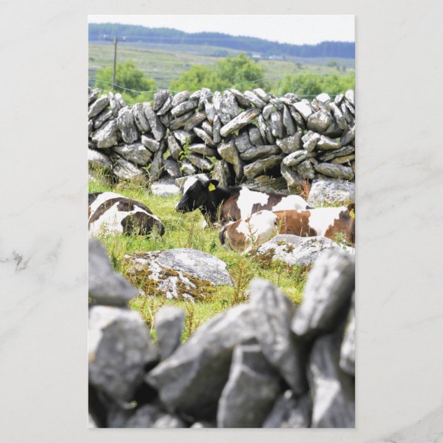 Moo Cows Briefpapier (Vorderseite)