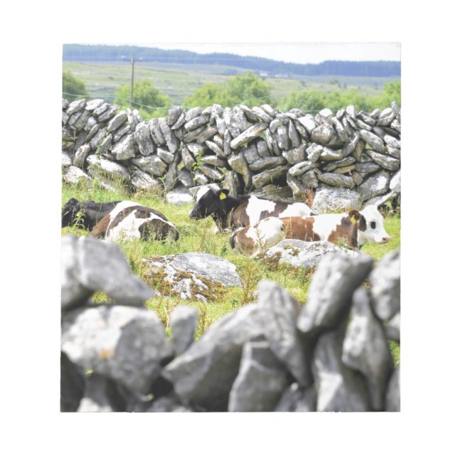 Moo Cows Notizblock (Vorderseite)