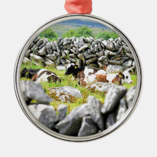 Moo Cows Ornament Aus Metall