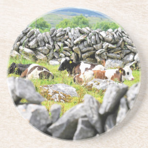 Moo Cows Sandstein Untersetzer