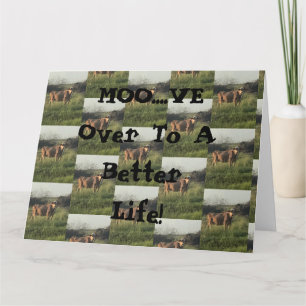 Moo...Ist vorbei! Karte