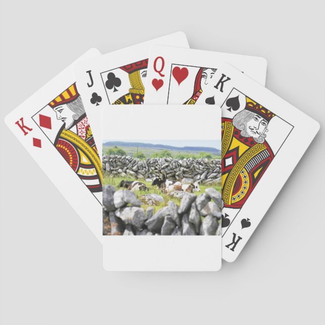 Moo Kühe Spielkarten (Rückseite)
