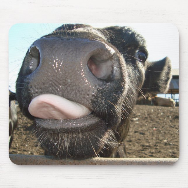 MOO-KÜSSE MOUSEPAD (Vorne)