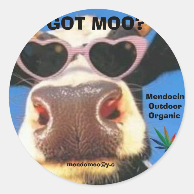 MOO POT STICKER GOT (Vorderseite)