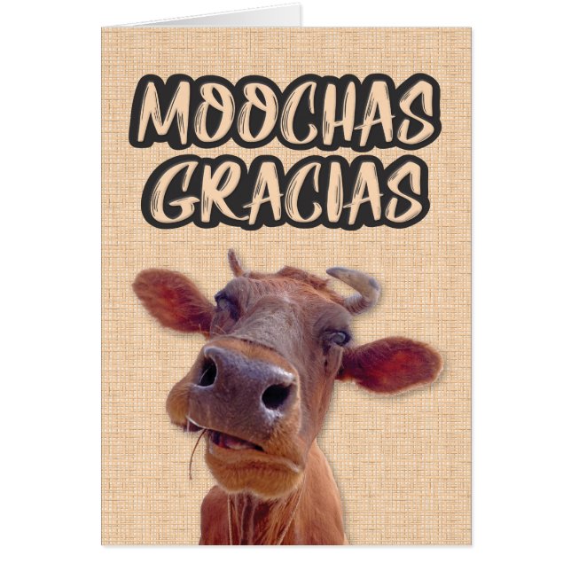 "Moochas Gracias" Kuh Danke Karte (Vorne)