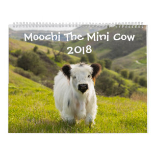 Moochi der Minikalender der kuh-2018 Kalender