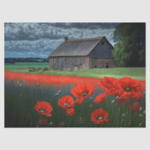 Moodiges Wetter Scheune und Mohnblumen