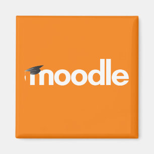 Moodle Magnet: Orange Magnet