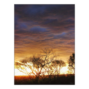 Moodscapes: Foto der lebendigen Kunst