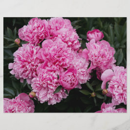 Moody and elegant pink peony  Scrapbook Paper