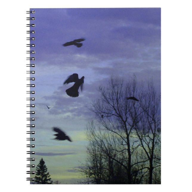 Moody Blue Crows Sky Notizblock (Vorderseite)