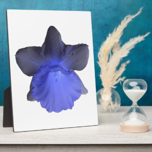 Moody Blue Dripping Daffodil Plaque Fotoplatte