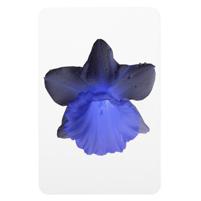Moody Blue Dripping Daffodil Premium Magnet (Vertikal)
