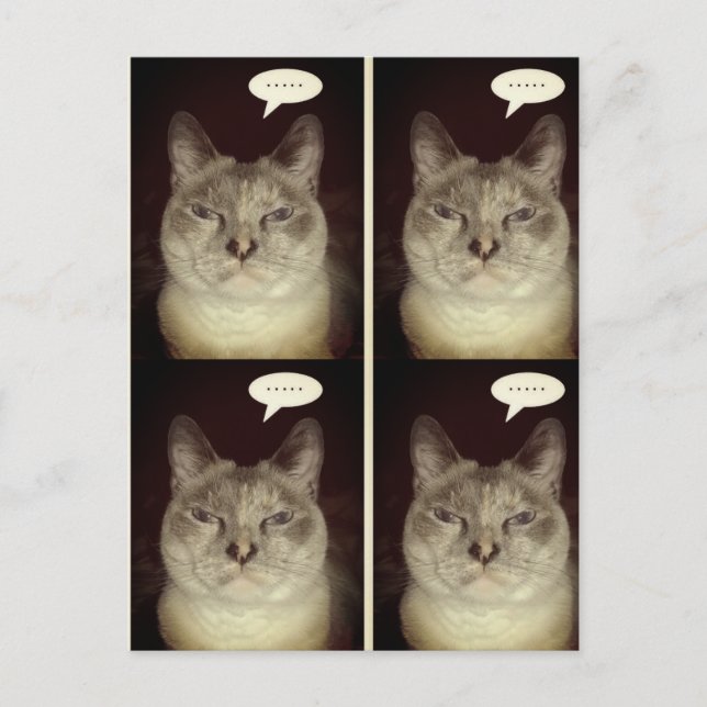 Moody Cat Postkarte (Vorderseite)