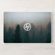 Moody Evergreens in Misty Fog