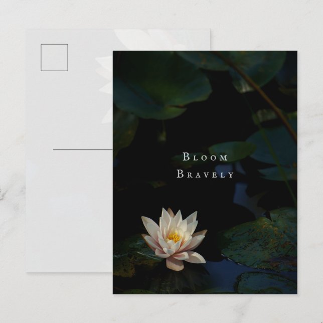 Moody Lily Pad Pond Nature Postkarte (Vorne/Hinten)