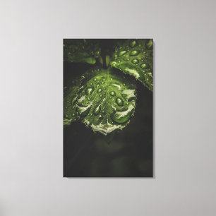 Moody Morning Dew Canvas Druckkunst Leinwanddruck